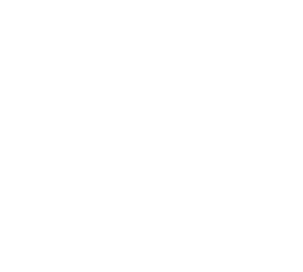 Avilink